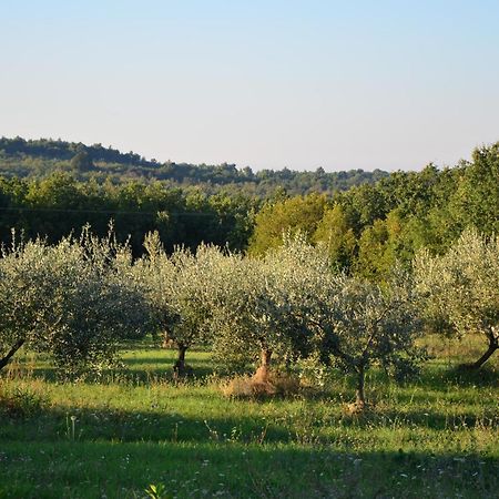 Villa Olivetta By Istrian Country Houses Barat  Exteriör bild