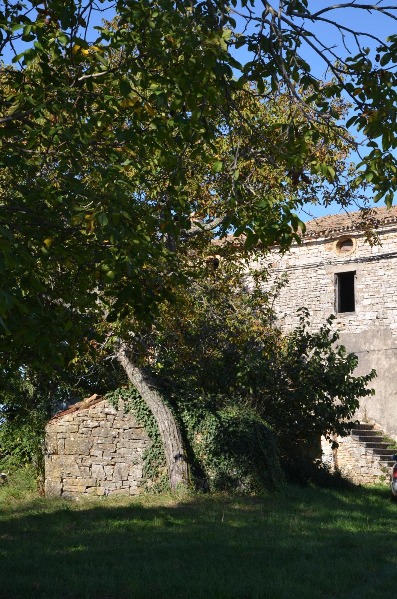 Villa Olivetta By Istrian Country Houses Barat  Exteriör bild