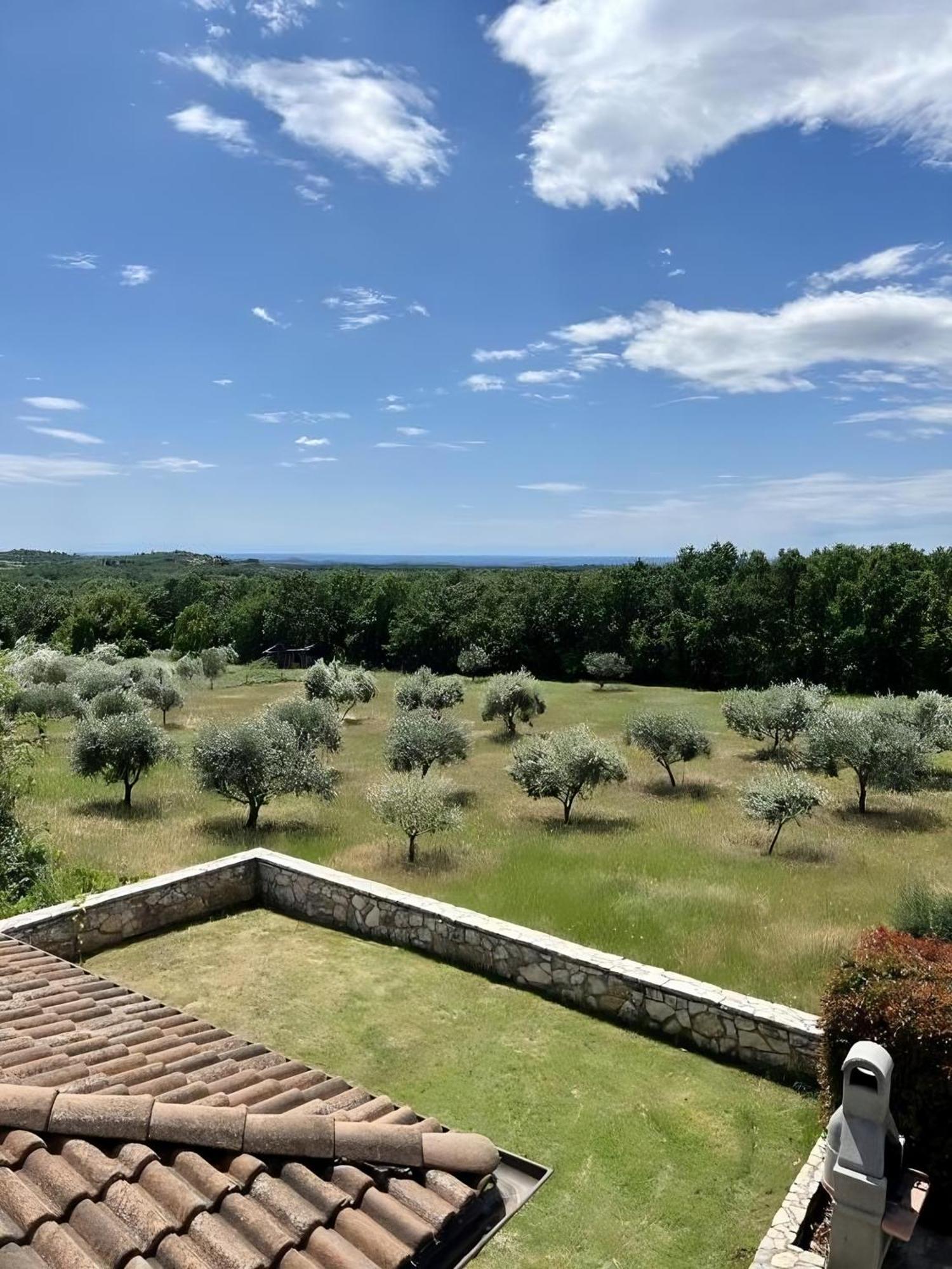 Villa Olivetta By Istrian Country Houses Barat  Exteriör bild