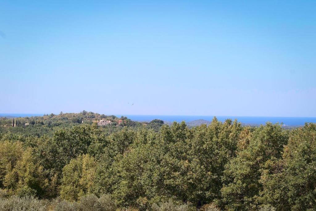 Villa Olivetta By Istrian Country Houses Barat  Exteriör bild